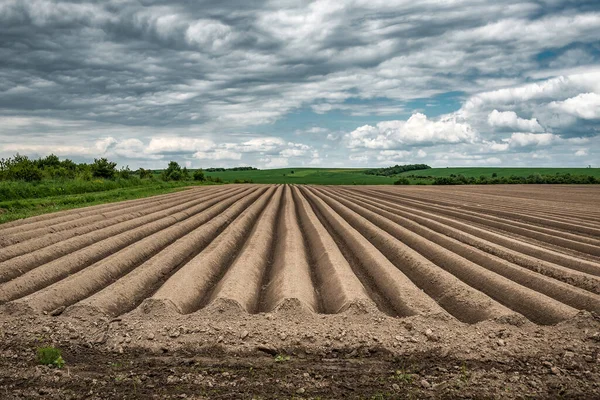 在为在暴风雨的云彩下种植马铃薯作物而准备的犁地里 犁沟里有一排花纹 农业主题 — 图库照片