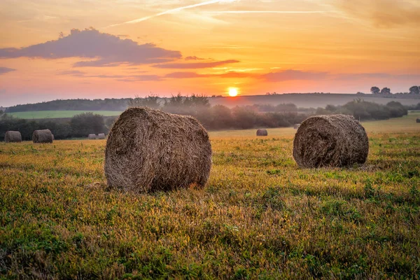 Siano Słoma Bela Łąka Podczas Zachód Słońca Temat Rolnictwa — Zdjęcie stockowe