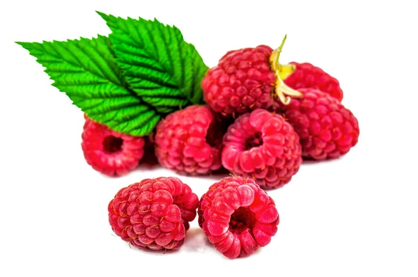 Sweet Ripe Raspberries Green Leaves White Background — Stock Photo, Image