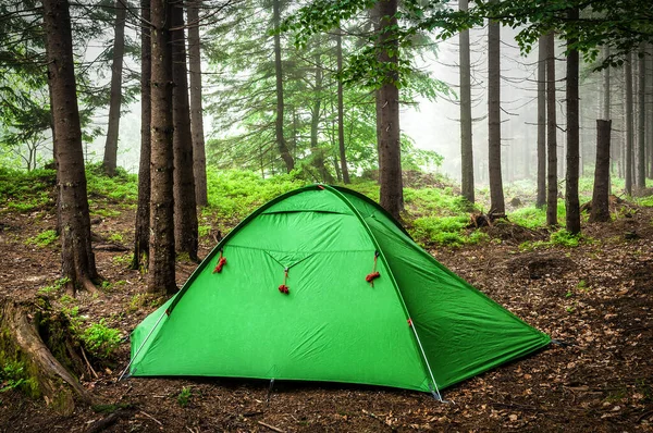 野外雾蒙蒙的森林中舒适的现代小旅游帐篷 — 图库照片