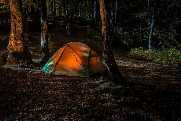 プロの観光テント 山の森の中で夜のキャンプ — ストック写真