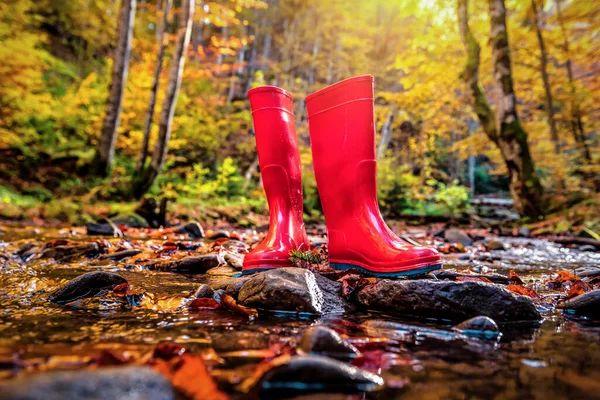 Red Rubber Boots Stone Forest Stream — Stock Photo, Image