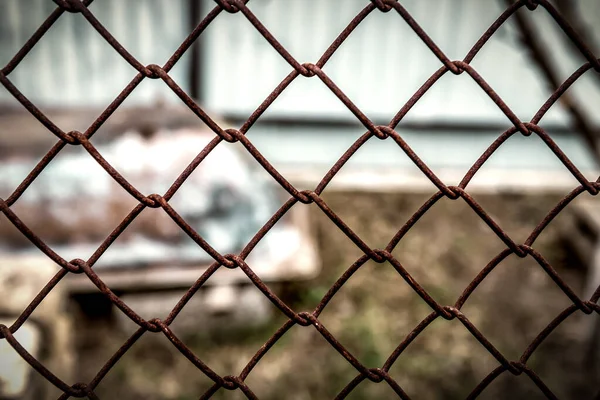 철조망 — 스톡 사진