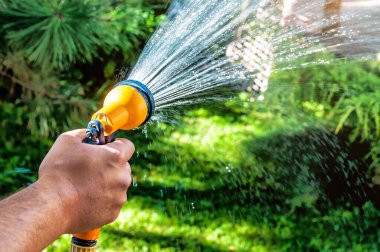 Yeşil bahçedeki hortumdan su fışkırtan adam.