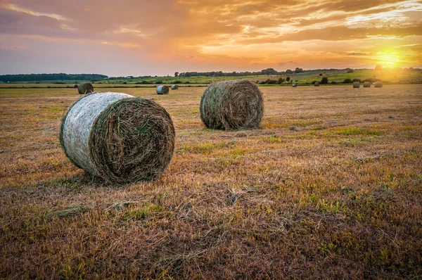 Okrągłe Bele Siana Polu Rolniczym Zachodzie Słońca — Zdjęcie stockowe