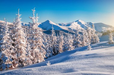 Karpat dağlarında güzel kış manzaraları güneşli bir günde karlı fırtınalar