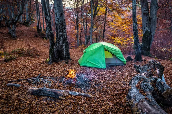 Tourist tent and campfire in autumn forest. travel and vacation theme