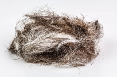 Beyaz arka planda izole edilmiş gri saç