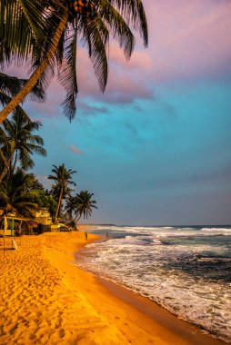 Sri Lanka 'da tropikal kumsalda güzel bir gün batımı