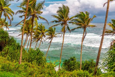 Hindistan cevizi palmiyeleri, okyanus ve bulutlu gökyüzü ile güzel tropikal bir manzara. Seyahat ve tatil teması
