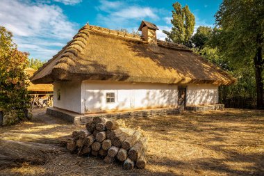 Yazın köyde mükemmel saman çatısı olan eski bir retro ev.