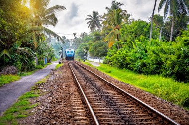 Tren ve demiryolu Sri Lanka 'daki tropikal ormandan geçiyor.