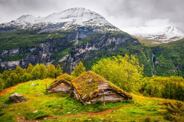 Norveç 'in vahşi dağlarında çimen çatıları olan tipik ahşap kulübeler.