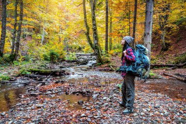 Sonbahar ormanında gezgin bir turist. Turizm ve yürüyüş teması