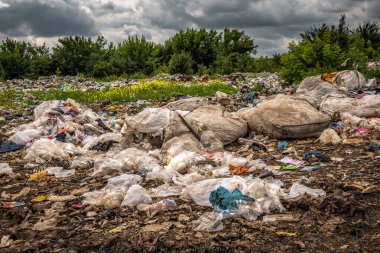 Doğadaki yasadışı çöplükte farklı plastik çöpler. Çevre kirliliği teması