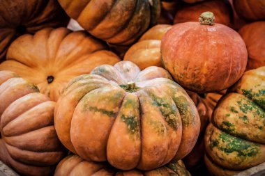 Arkaplan olarak pazarda olgunlaşmış balkabağı yığını