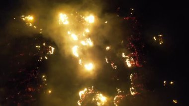 Ormanda gece bir orman yangını var.