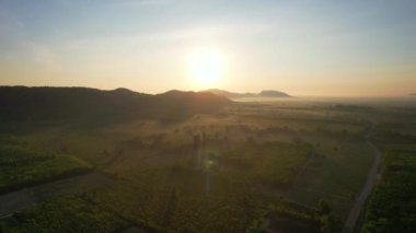  Doğada gün doğumu manzarası Ormanın ve yeşil ağaçların arasında.