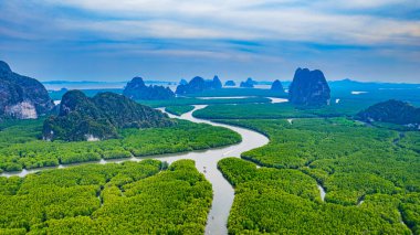 Mangrove Ormanı ve Phang Nga Körfezi manzarası Phang Nga Eyaleti, güney Tayland, Asya