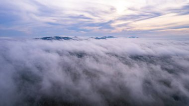 Sis manzarası, bulutlar, sabahları orman, Tayland, Asya