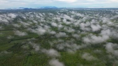 Bulutların, sislerin ve yemyeşil ormanların parlak yağmur mevsiminde Tayland ve Asya 'nın doğal güzellikleriyle manzarası.