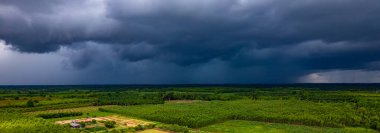 Fırtına, kara bulutlar, yağmur geliyor, orman, yeşil, yağmur mevsiminde güzel doğa.