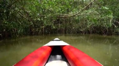 Phang Nga Eyaleti, Güney Tayland, Asya 'daki güzel doğayı görmek için nehirde kayak yapmak.