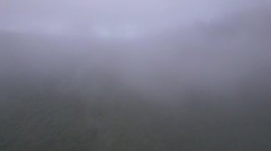 Yağmur mevsiminde vadideki sise doğru uç. Yağmur mevsiminde birçok kalın bulut ve yeşil orman vardır..