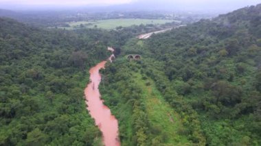 Vahşi yaşam ormanlarını iki orman arasında birleştiren tünel, Tap Lan Tüneli, Tap Lan Ulusal Parkı, Prachin Buri Eyaleti, Tayland, Asya 'da yer almaktadır..