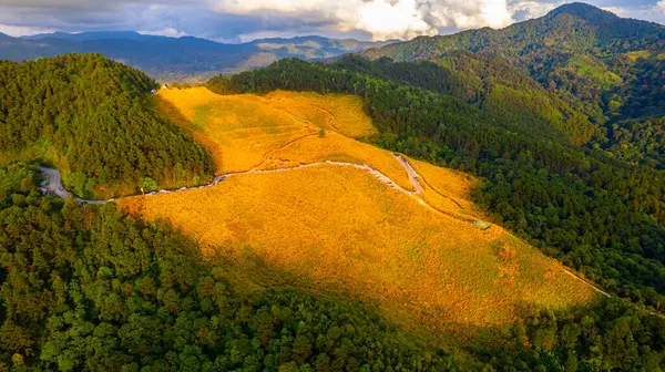 Maehongson Tayland ve Asya 'daki Tung Bua Tong adındaki Meksika ayçiçeği tarlasının manzarasına bakın.