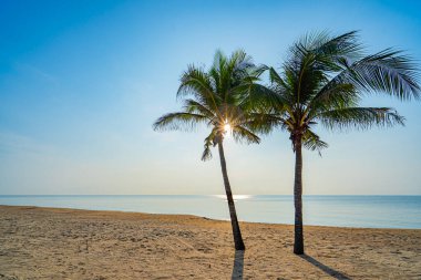 Sabahları sahilde hindistan cevizi ağaçları, Khiri Han Eyaleti, Tayland, Asya