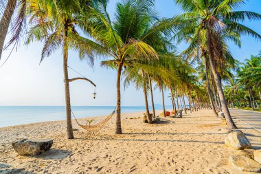 Sabahları sahilde hindistan cevizi ağaçları, Khiri Han Eyaleti, Tayland, Asya
