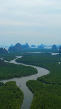 Mangrove orman manzarası ve Phang Nga Körfezi 'ndeki adalar, Phang Nga Eyaleti, Tayland
