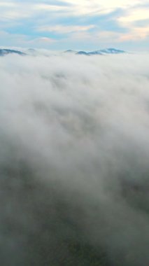 Yağmur mevsimi bulutları yemyeşil ormanda süzülür..