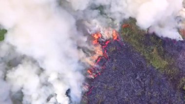 Vahşi yangınlar çayırları ve ormanları yakıyor, bir sürü duman yaratıyor..