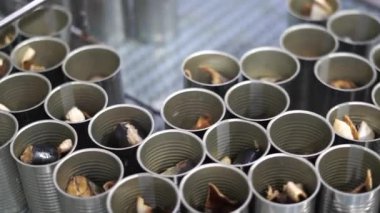 Konserve balık üretim tesisi. Endüstriyel makineler konserve fabrikasında çalışıyor..