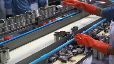 Konserve balık üretim tesisi. Endüstriyel makineler konserve fabrikasında çalışıyor..