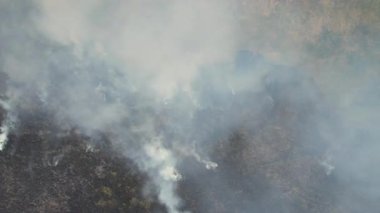 Vahşi yangınlar çiftçilerin tarlalarını yakıyor..