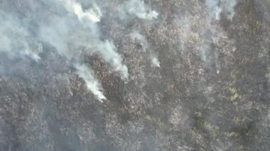 Vahşi yangınlar çiftçilerin tarlalarını yakıyor..