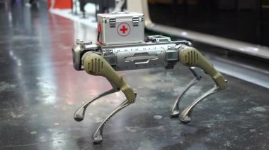 Dört ayaklı yürüyen robot, dört ayaklı robot köpek, robot çita, robot köpek, yapay zekalı mekanik cihaz. 