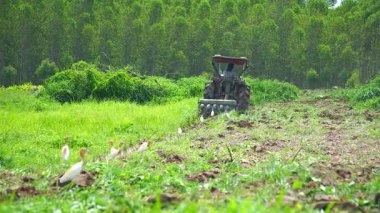 Çiftçiler çiftçilik için tarlayı sürmek için traktör kullanıyorlar..