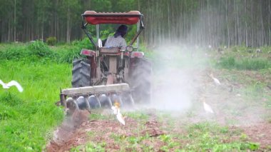 Yavaş çekim video çiftçileri çiftçilik için tarlayı sürmek için traktörler kullanıyorlar..