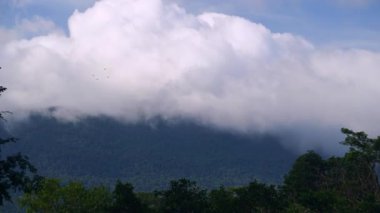 Yağmur mevsimi sabahında çok sayıda bulut dağın tepesinde yüzüyor..