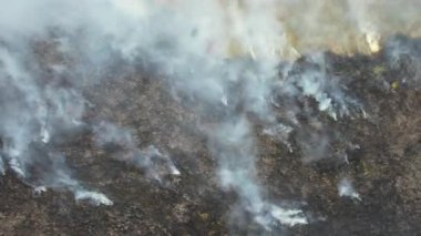 Vahşi yangınlar otlaklardaki kuru otları yakıyor..
