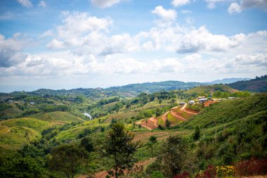 Dağ ormanının kuş bakışı manzarası çok güzeldir. Kışın, hava serindir..