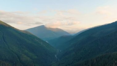 Ukrayna Karpatya dağlarında sabah sisi. Hava aracı görünümü.