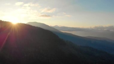 Ukrayna Karpatya dağlarında sabah sisi. Hava aracı görüntüsü. FullHD