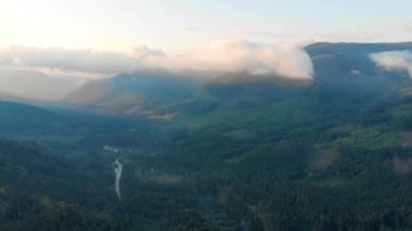 Ukrayna Karpatya dağlarında sabah sisi. Hava aracı görüntüsü. FullHD