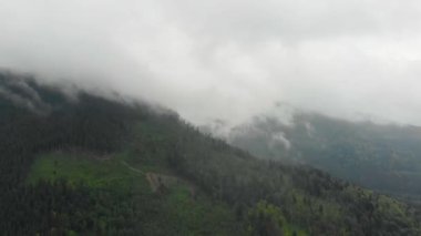 Ukrayna Karpatya dağlarında sabah sisi. Hava aracı görüntüsü. FullHD