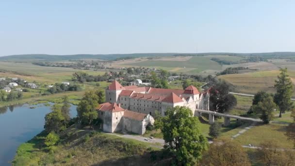从空中俯瞰卢瓦尔河流域以法国文艺复兴风格建造的一座风景如画的城堡 — 图库视频影像